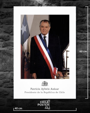 Presidente Patricio Aylwin Azocar